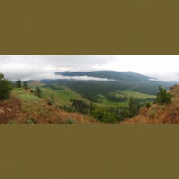 Singletrack Session #93