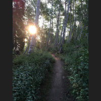 Singletrack Session #8