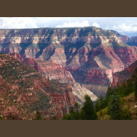 Singletrack Session #110