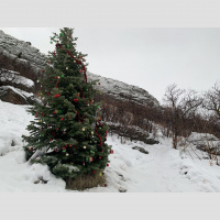 Episode #143- Christmas Gift Guide: Part 1