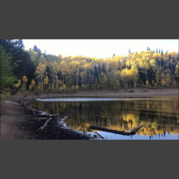 Singletrack Session #107