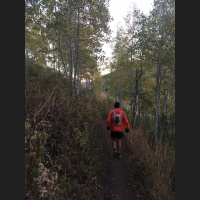 Singletrack Session #10