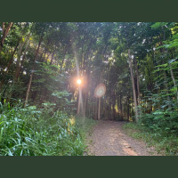 Singletrack Session #120