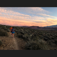 Singletrack Session #79