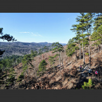 Singletrack Session #71