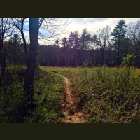 Singletrack Session #83