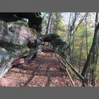 Singletrack Session #62