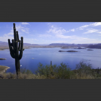 Singletrack Session #86