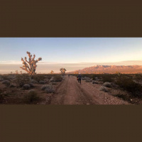 Singletrack Session #126