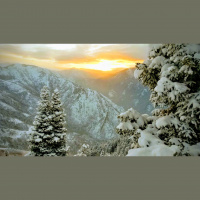 Singletrack Session #128