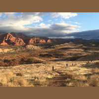 Singletrack Session #81