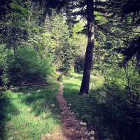 Episode #31- TrailManners: News, music and randomness