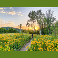 Singletrack Session #94