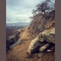 Singletrack Session #123