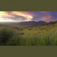 Singletrack Session #133