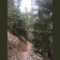 Singletrack Session #9