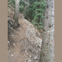 Singletrack Session #11