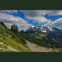 Singletrack Session #104