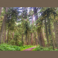 Singletrack Session #95