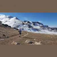 Singletrack Session #80