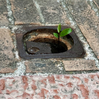 EP 179 What You Resist, Persists