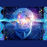 EP 236 The Power of Your Creativity