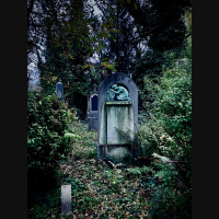 EP 245 The Death of the Old Self