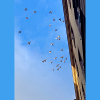 EP 256 Digging Deep, Clearing Out