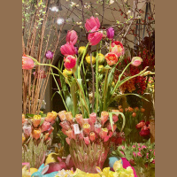 EP 255 Wishing You a Beautiful Easter!