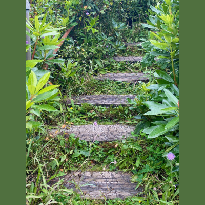 Spirit Source Connect: Infusing Spirit To Transform Your Life