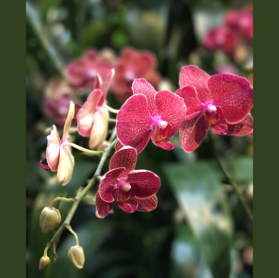 Spirit Source Connect: Infusing Spirit To Transform Your Life