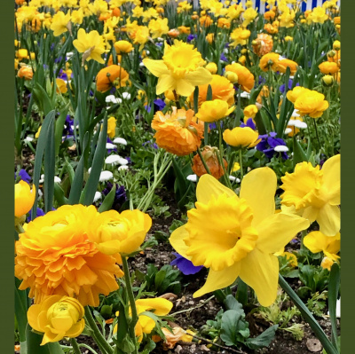 Spirit Source Connect: Infusing Spirit To Transform Your Life