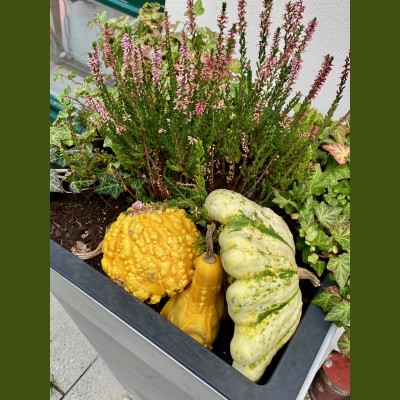 Spirit Source Connect: Infusing Spirit To Transform Your Life