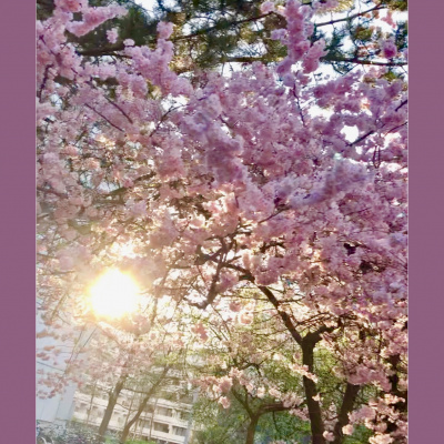 Spirit Source Connect: Infusing Spirit To Transform Your Life