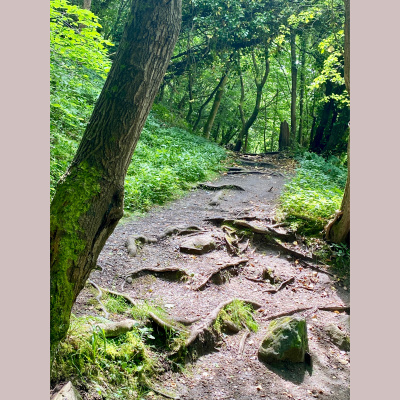 Spirit Source Connect: Infusing Spirit To Transform Your Life