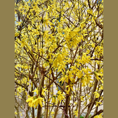 Spirit Source Connect: Infusing Spirit To Transform Your Life