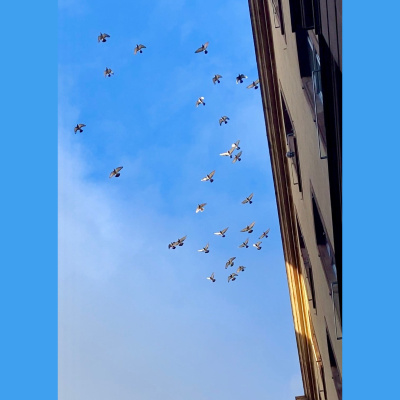 Spirit Source Connect: Infusing Spirit To Transform Your Life