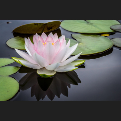 Spirit Source Connect: Infusing Spirit To Transform Your Life