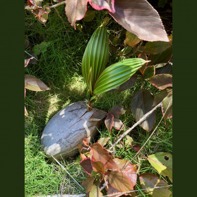 Spirit Source Connect: Infusing Spirit To Transform Your Life