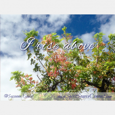 Spirit Source Connect: Infusing Spirit To Transform Your Life