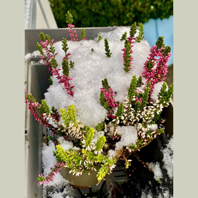 Spirit Source Connect: Infusing Spirit To Transform Your Life