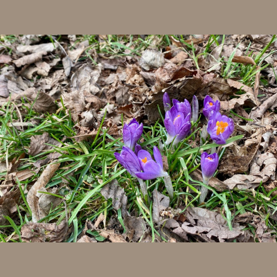 Spirit Source Connect: Infusing Spirit To Transform Your Life