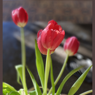 Spirit Source Connect: Infusing Spirit To Transform Your Life