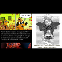 COVID: Tell people you love THIS|Cow Daily