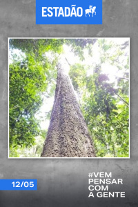 Estadão - 12/05/2025
