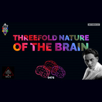 Whence Came You? - 0476 - Threefold Nature of the Brain