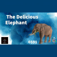 Whence Came You? - 0591 - The Delicious Elephant 