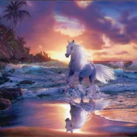 Night-Light with Guest Kathleen Schurman