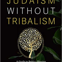 Judaism Without Tribalism: A Guide to Being a Blessing to All with Rabbi Shapiro