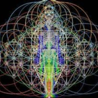 NIght-Light with guest Dr Linda Salvin